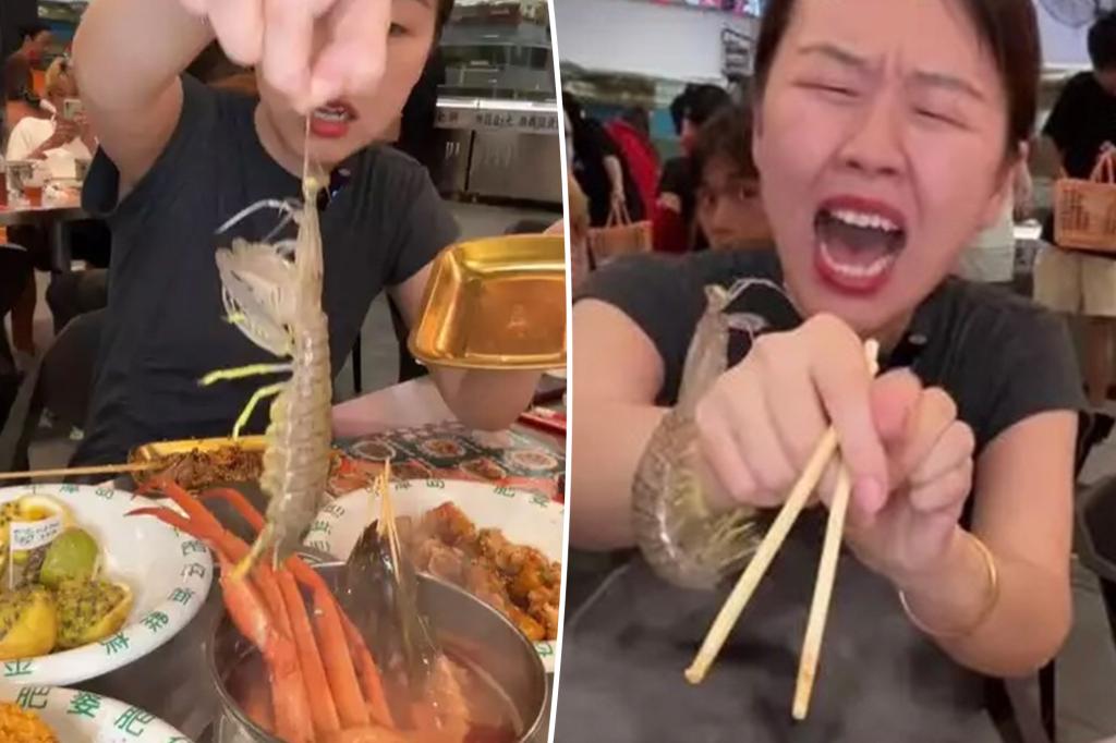 Live shrimp attack hot dinner in wild video